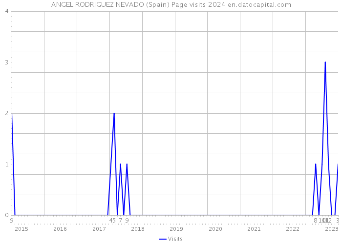 ANGEL RODRIGUEZ NEVADO (Spain) Page visits 2024 