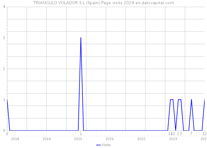 TRIANGULO VOLADOR S.L (Spain) Page visits 2024 