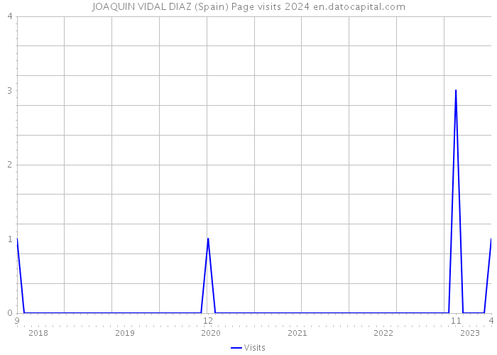 JOAQUIN VIDAL DIAZ (Spain) Page visits 2024 