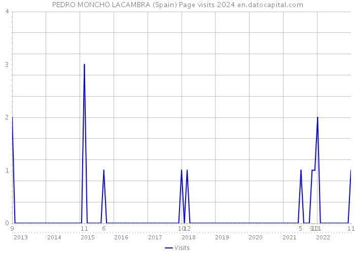 PEDRO MONCHO LACAMBRA (Spain) Page visits 2024 