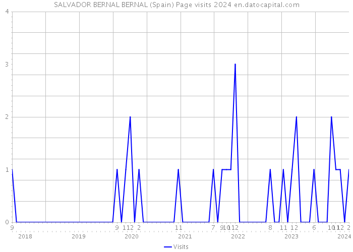 SALVADOR BERNAL BERNAL (Spain) Page visits 2024 