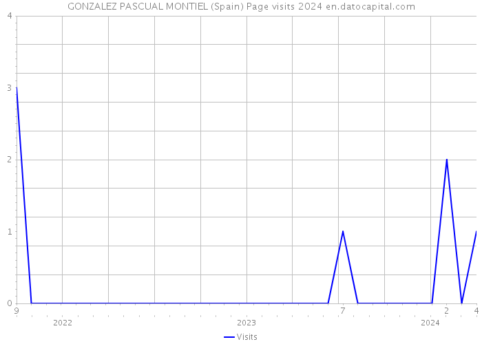 GONZALEZ PASCUAL MONTIEL (Spain) Page visits 2024 