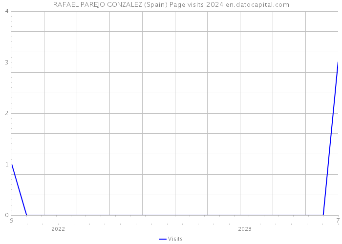 RAFAEL PAREJO GONZALEZ (Spain) Page visits 2024 