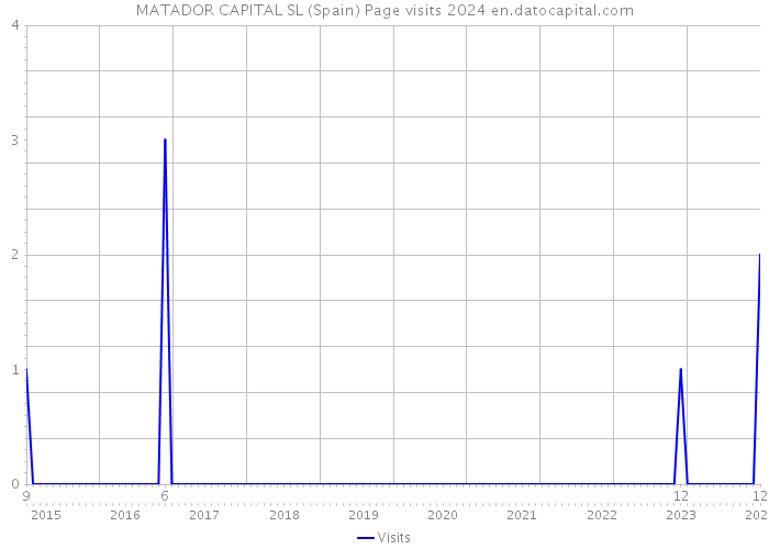 MATADOR CAPITAL SL (Spain) Page visits 2024 