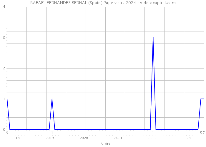 RAFAEL FERNANDEZ BERNAL (Spain) Page visits 2024 