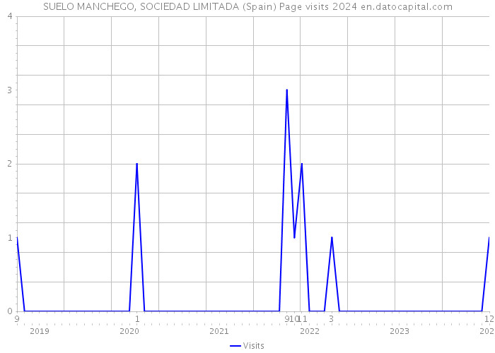 SUELO MANCHEGO, SOCIEDAD LIMITADA (Spain) Page visits 2024 