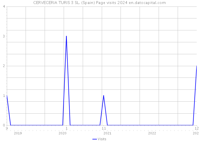 CERVECERIA TURIS 3 SL. (Spain) Page visits 2024 