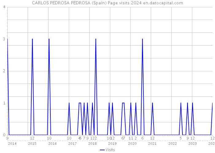 CARLOS PEDROSA PEDROSA (Spain) Page visits 2024 