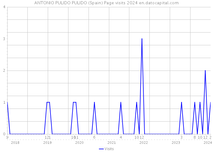 ANTONIO PULIDO PULIDO (Spain) Page visits 2024 