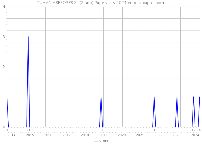 TUMAN ASESORES SL (Spain) Page visits 2024 