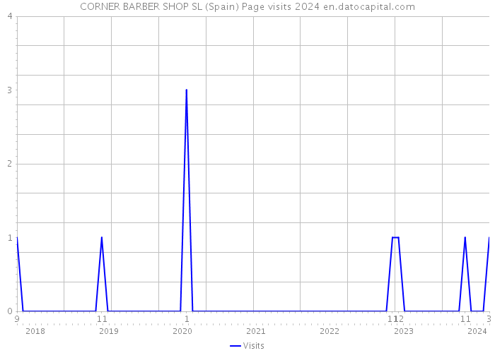 CORNER BARBER SHOP SL (Spain) Page visits 2024 