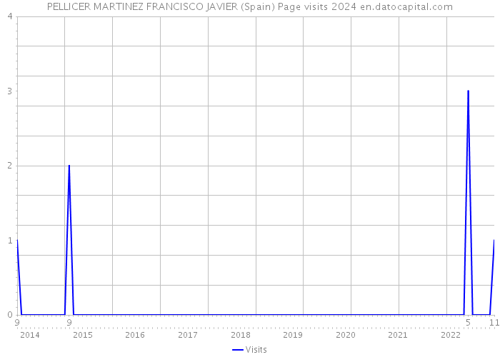 PELLICER MARTINEZ FRANCISCO JAVIER (Spain) Page visits 2024 