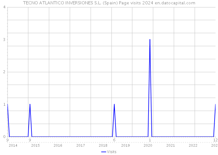 TECNO ATLANTICO INVERSIONES S.L. (Spain) Page visits 2024 