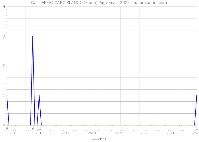 GUILLERMO CARO BLANCO (Spain) Page visits 2024 