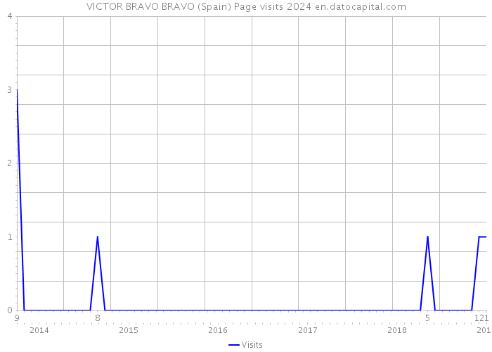 VICTOR BRAVO BRAVO (Spain) Page visits 2024 
