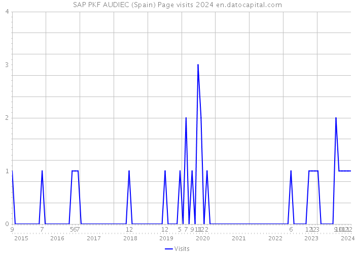 SAP PKF AUDIEC (Spain) Page visits 2024 