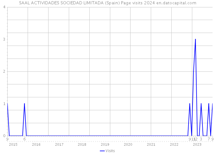 SAAL ACTIVIDADES SOCIEDAD LIMITADA (Spain) Page visits 2024 