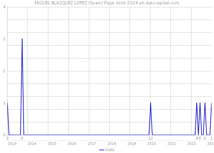 MIGUEL BLAZQUEZ LOPEZ (Spain) Page visits 2024 