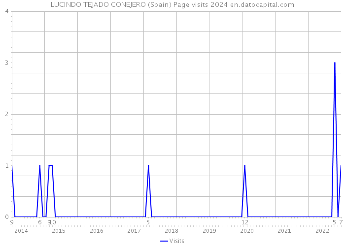 LUCINDO TEJADO CONEJERO (Spain) Page visits 2024 