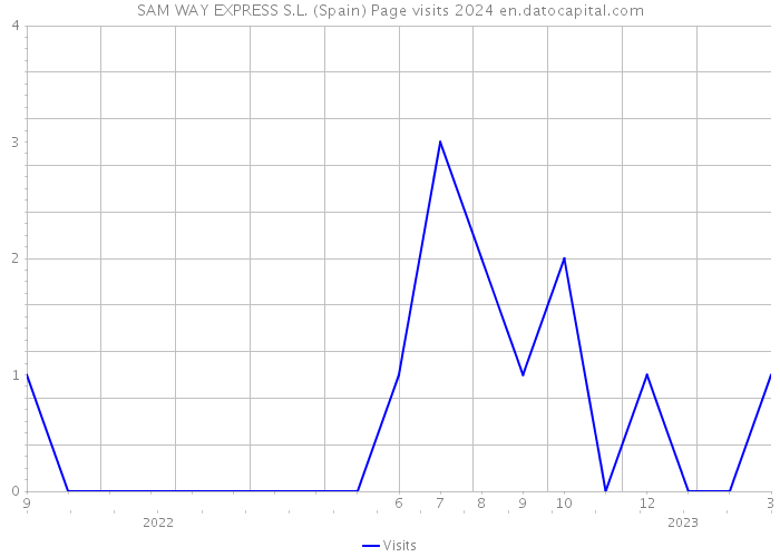 SAM WAY EXPRESS S.L. (Spain) Page visits 2024 