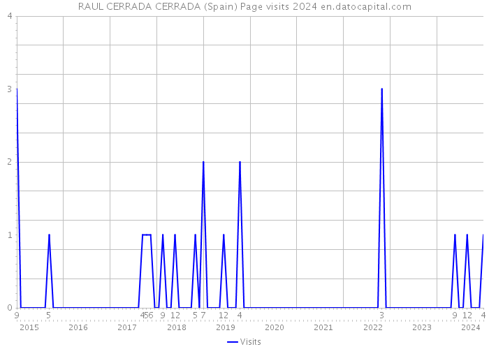 RAUL CERRADA CERRADA (Spain) Page visits 2024 