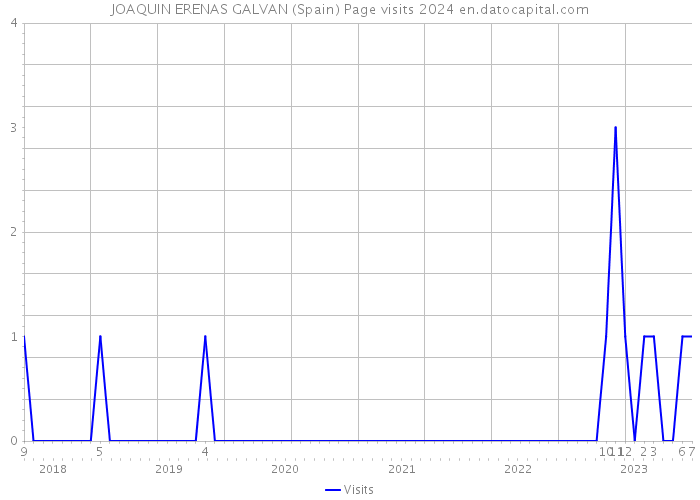 JOAQUIN ERENAS GALVAN (Spain) Page visits 2024 