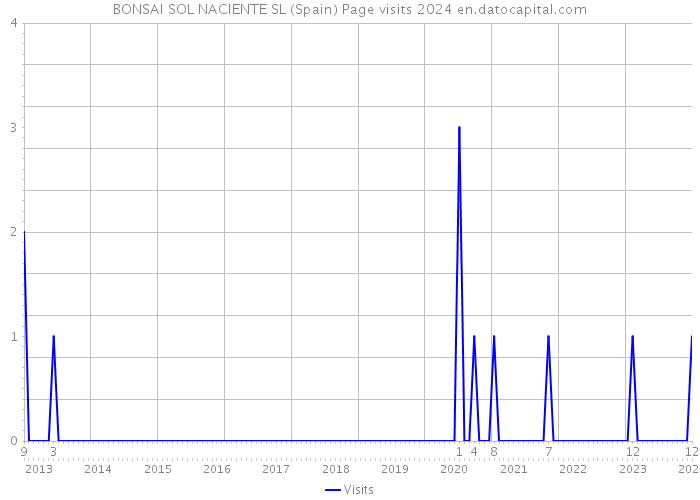 BONSAI SOL NACIENTE SL (Spain) Page visits 2024 