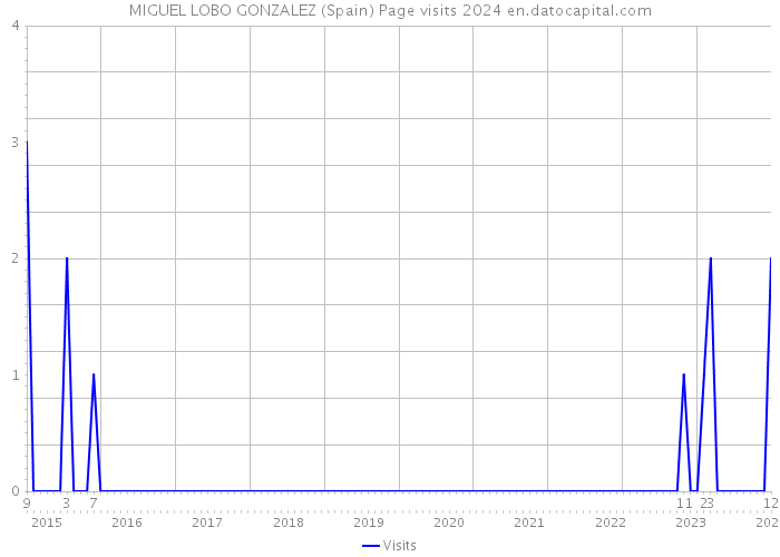 MIGUEL LOBO GONZALEZ (Spain) Page visits 2024 