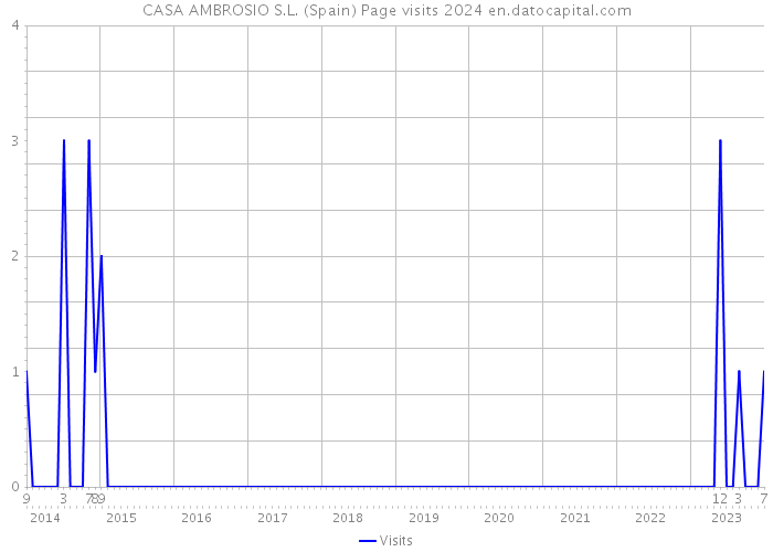 CASA AMBROSIO S.L. (Spain) Page visits 2024 