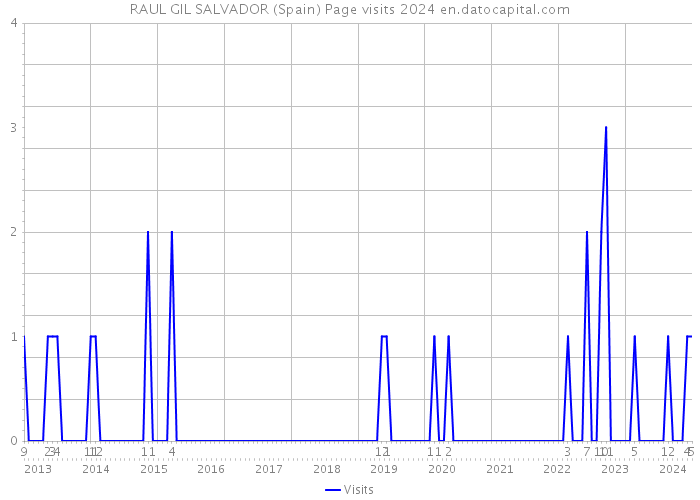 RAUL GIL SALVADOR (Spain) Page visits 2024 