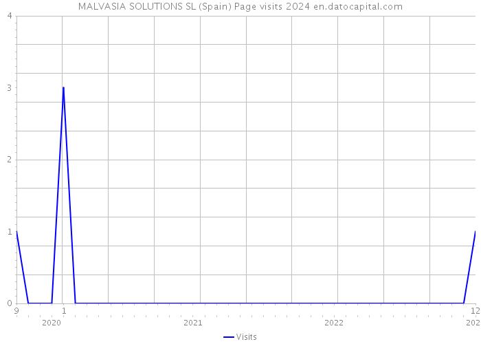 MALVASIA SOLUTIONS SL (Spain) Page visits 2024 