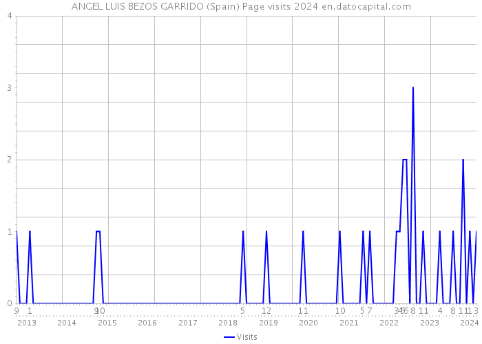 ANGEL LUIS BEZOS GARRIDO (Spain) Page visits 2024 