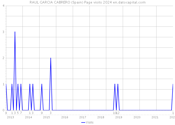 RAUL GARCIA CABRERO (Spain) Page visits 2024 