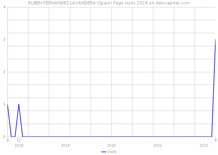 RUBEN FERNANDEZ LAVANDERA (Spain) Page visits 2024 