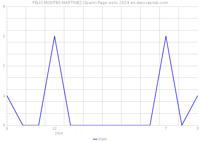 FELIX MONTES MARTINEZ (Spain) Page visits 2024 