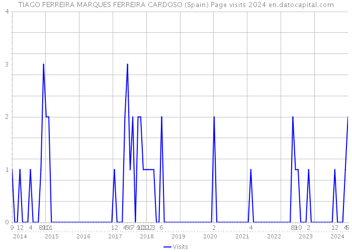 TIAGO FERREIRA MARQUES FERREIRA CARDOSO (Spain) Page visits 2024 