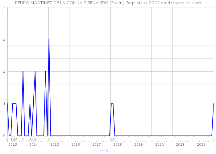 PEDRO MARTINEZ DE LA COLINA SISENANDO (Spain) Page visits 2024 