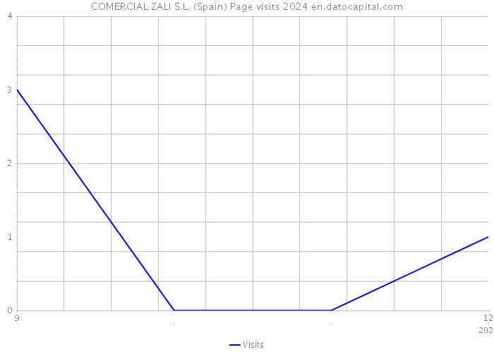 COMERCIAL ZALI S.L. (Spain) Page visits 2024 