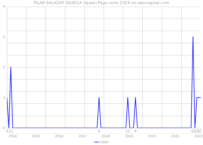 PILAR SALAZAR SALEGUI (Spain) Page visits 2024 