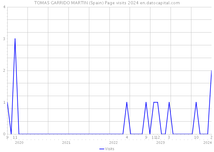 TOMAS GARRIDO MARTIN (Spain) Page visits 2024 