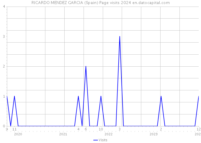 RICARDO MENDEZ GARCIA (Spain) Page visits 2024 