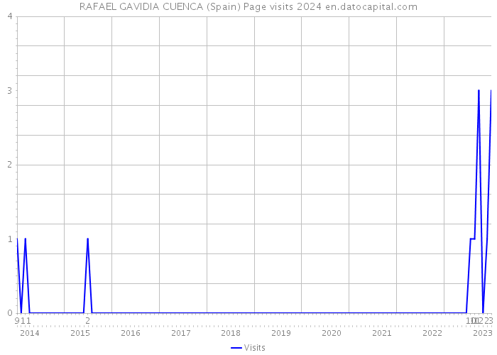 RAFAEL GAVIDIA CUENCA (Spain) Page visits 2024 