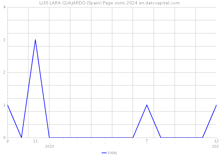 LUIS LARA GUAJARDO (Spain) Page visits 2024 