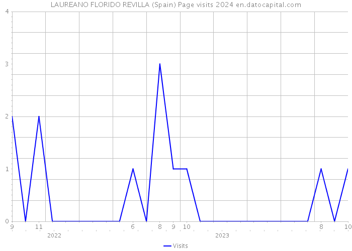 LAUREANO FLORIDO REVILLA (Spain) Page visits 2024 