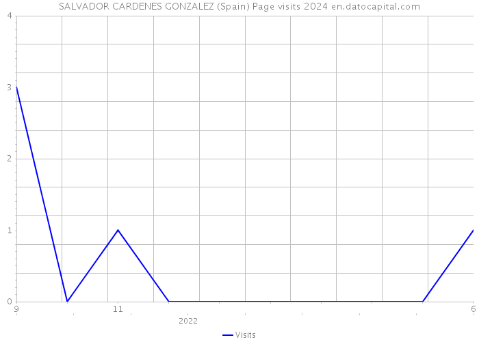 SALVADOR CARDENES GONZALEZ (Spain) Page visits 2024 