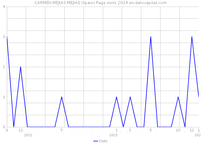 CARMEN MEJIAS MEJIAS (Spain) Page visits 2024 