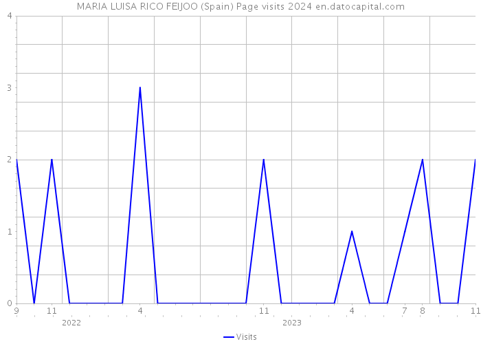 MARIA LUISA RICO FEIJOO (Spain) Page visits 2024 