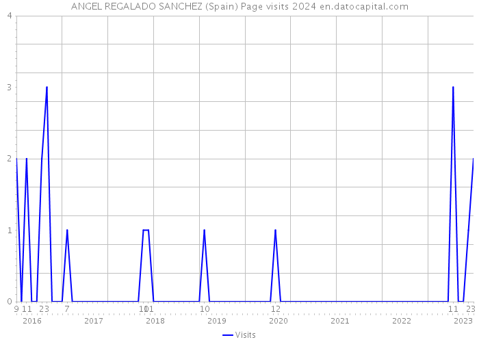 ANGEL REGALADO SANCHEZ (Spain) Page visits 2024 