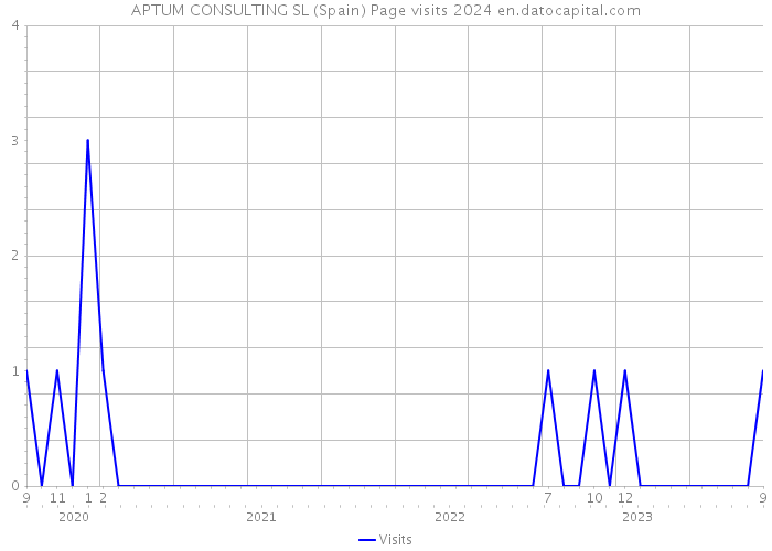 APTUM CONSULTING SL (Spain) Page visits 2024 