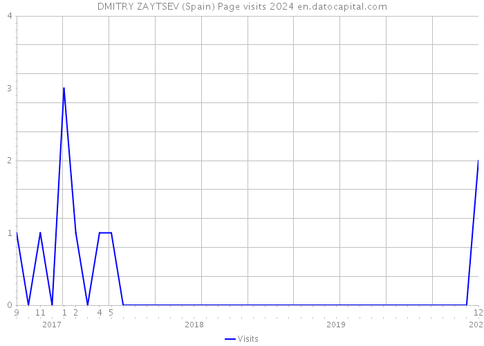 DMITRY ZAYTSEV (Spain) Page visits 2024 